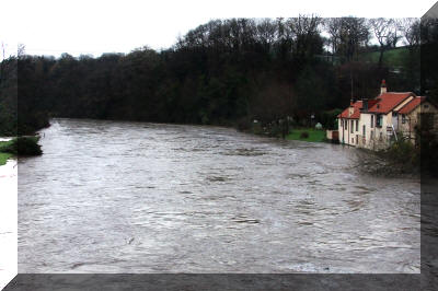 From Ruswarp road bridge looking downstream